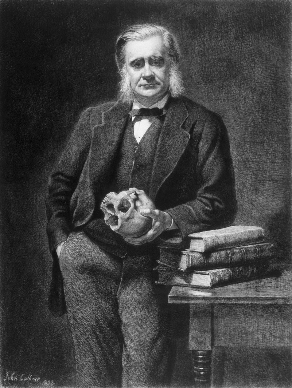 Thomas Henry Huxley (1825-95) leptaný Leopoldem Flamengem (1831-1911) 1885 od John Collier