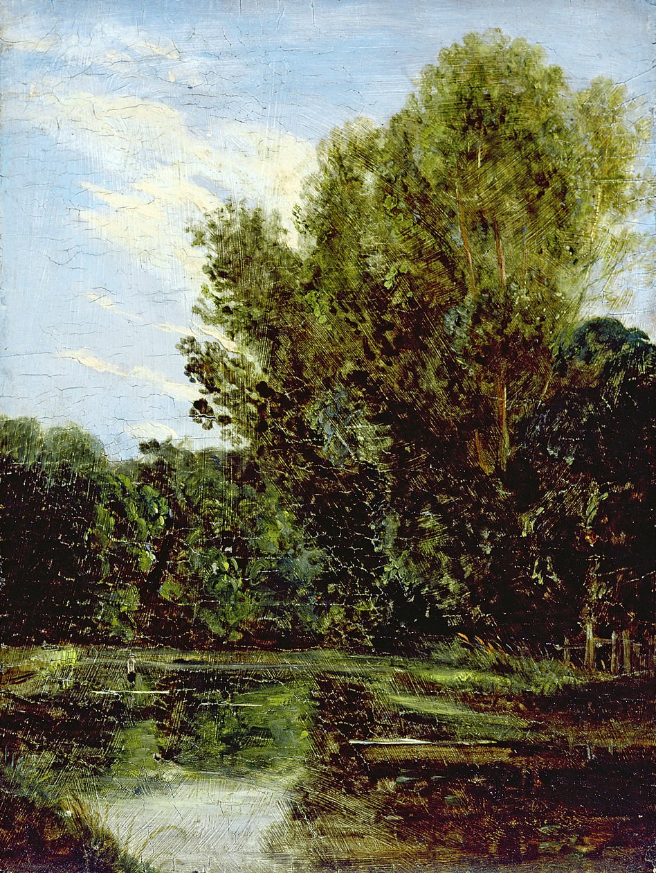 Corner of Hampstead Ponds (olej na palubě) od John Constable
