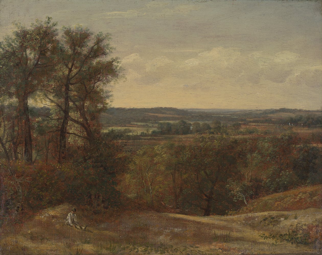 Dadham Wale od John Constable