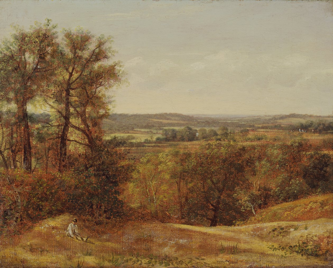 Dadham Wale, 1802. od John Constable