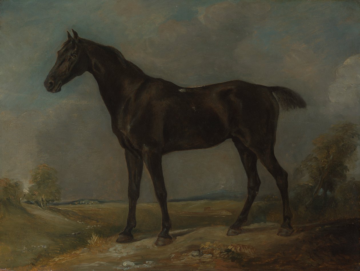Goldingův strážník černý jezdecký kůň od John Constable