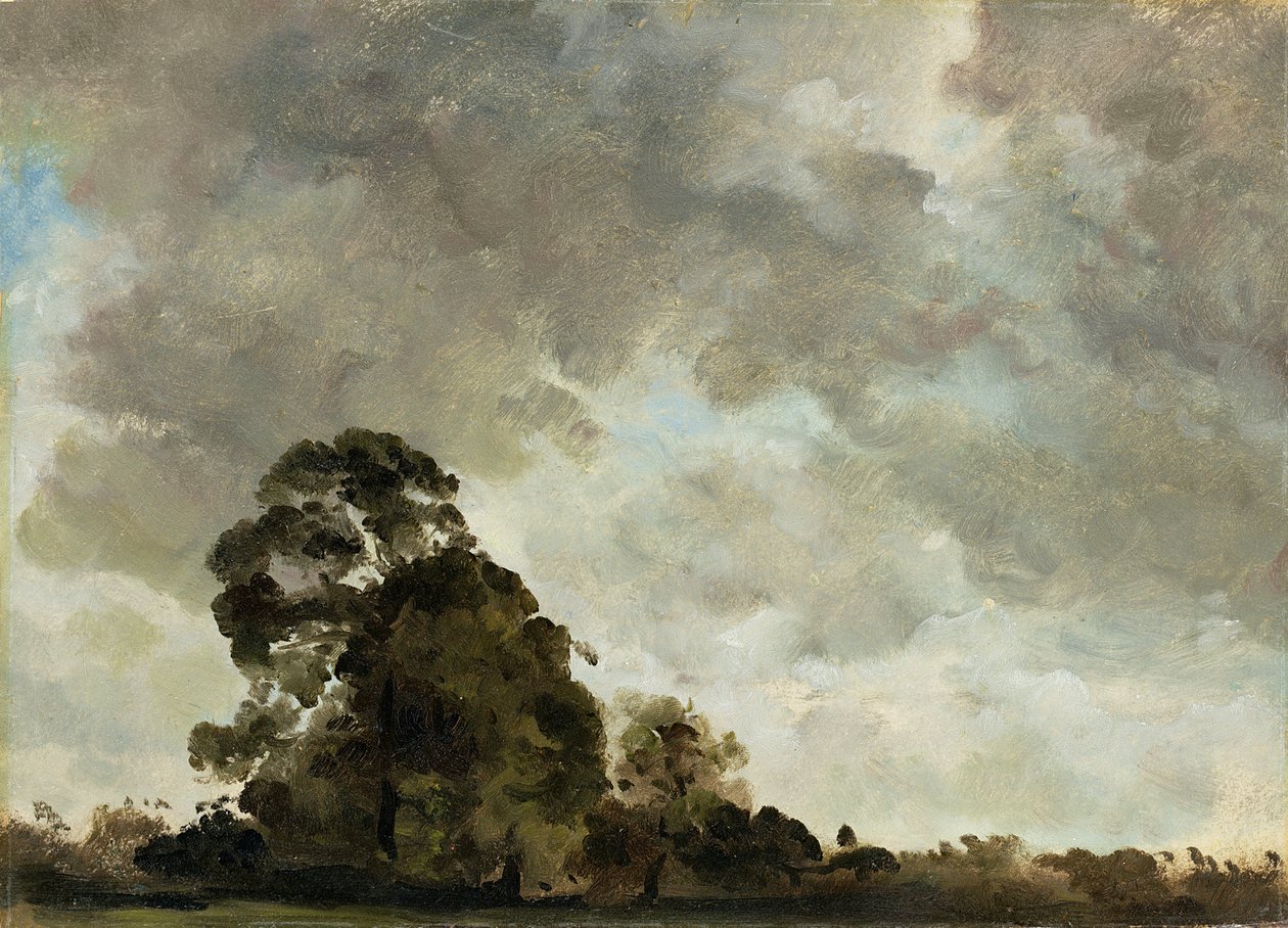 Krajina v Hampstead, Tree and Storm Clouds, c.1821 (olej na papíře položený na panelu) od John Constable