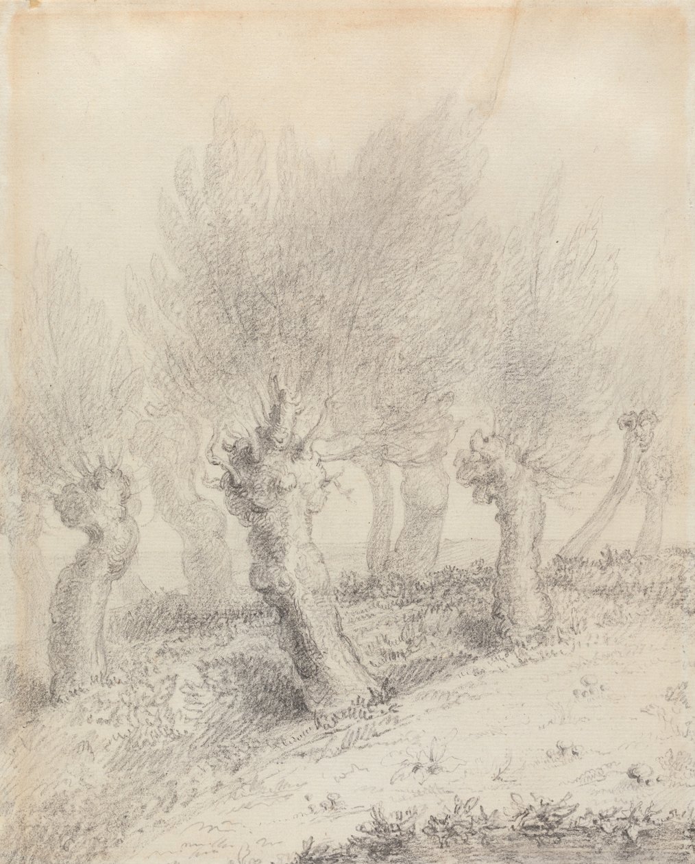 Prořezávané vrby od John Constable
