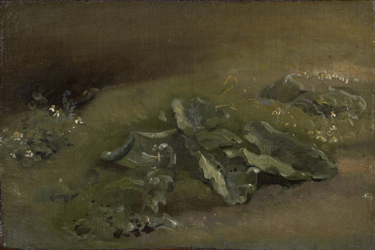 Studie lopuchu, kolem 1810-14 nebo kolem 1828 od John Constable