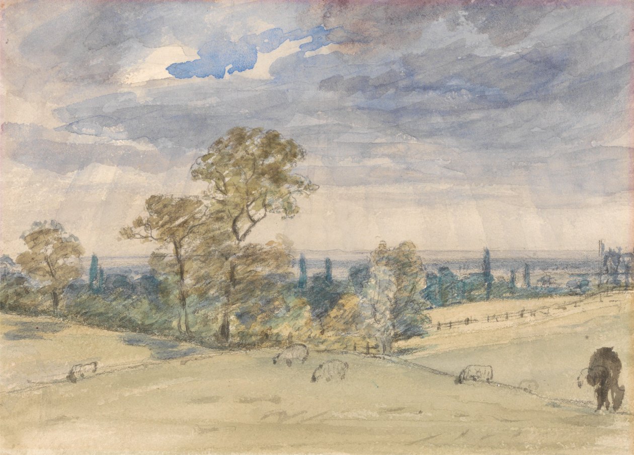 Krajina v Suffolku od John Constable