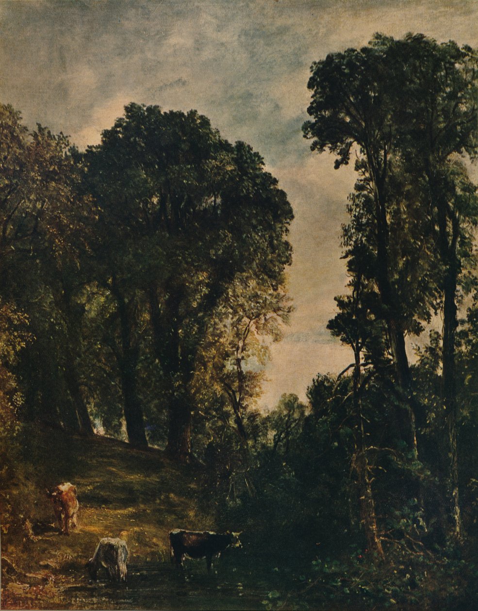 Stromy poblíž Hampstead Church, 1829, c1915 od John Constable