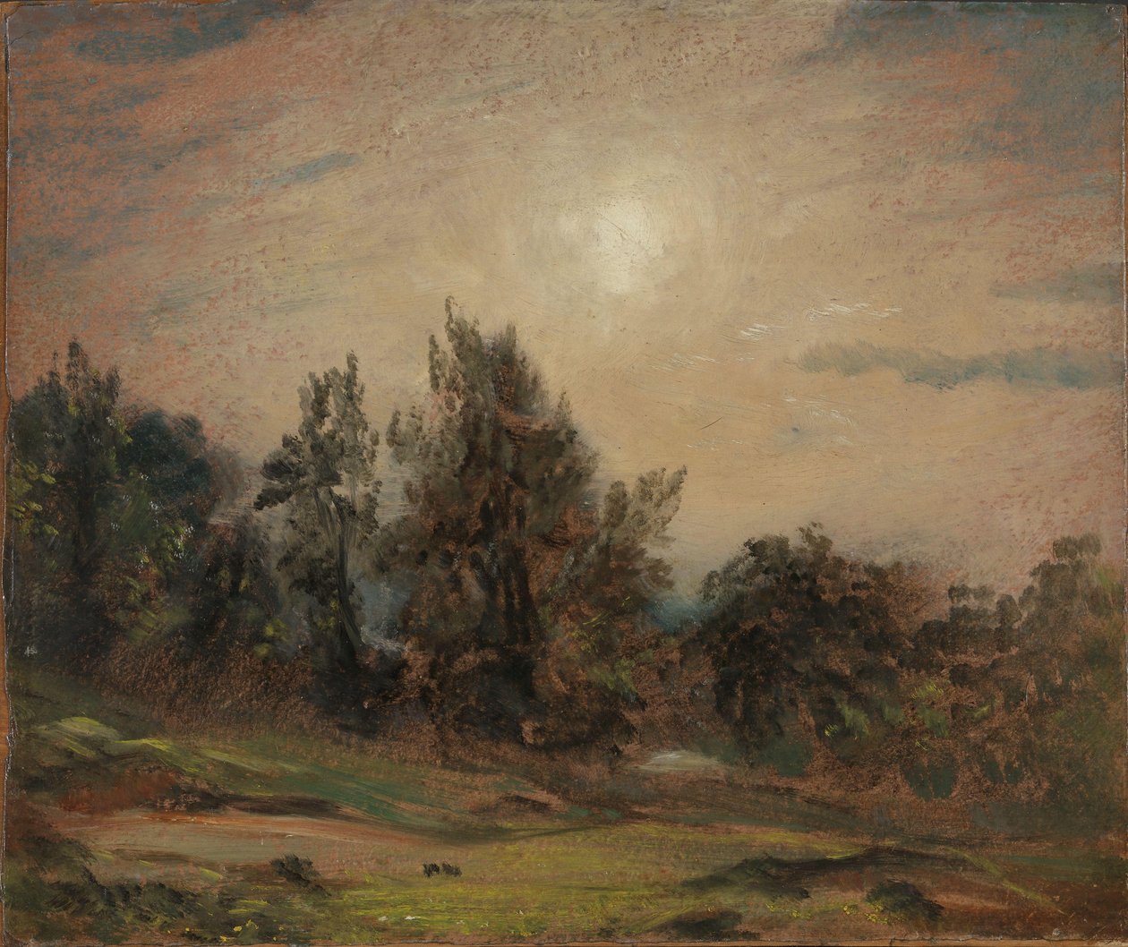 Stromy na Hampstead Heath od John Constable