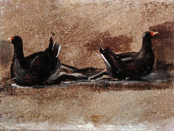 Dva Moorhens on the Water (olej na palubě) od John Constable
