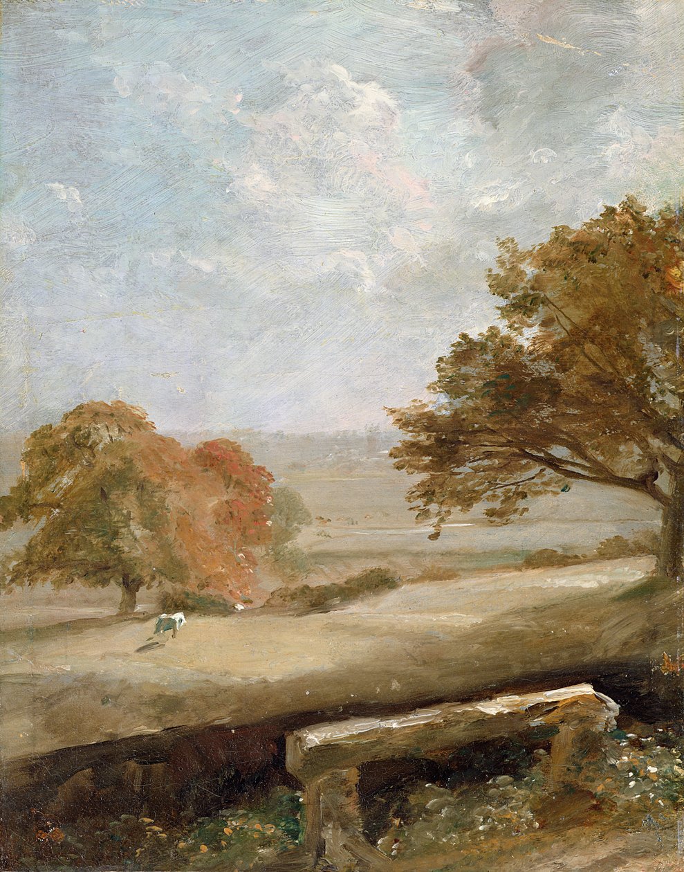 Neznámý obrázek od John Constable
