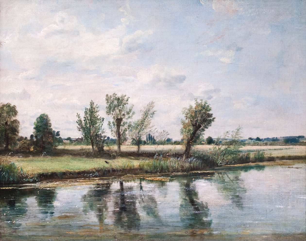 Watermeadows poblíž Salisbury od John Constable
