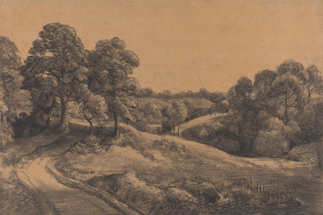 Zalesněný svah s ustupující cestou od John Constable
