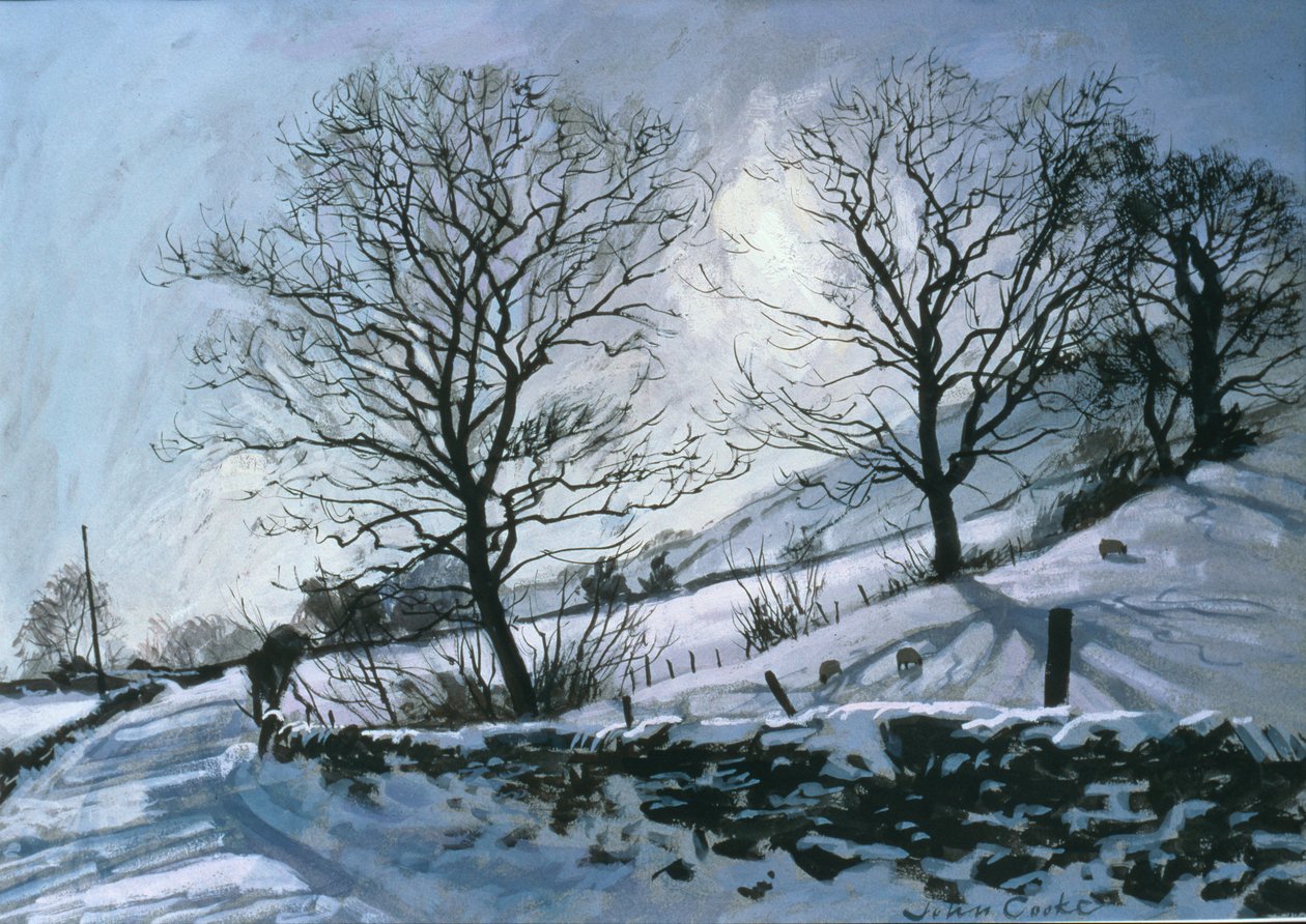 Zimní odpoledne v Dentdale od John Cooke