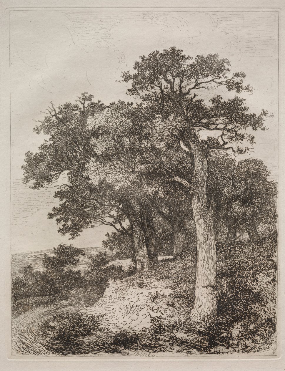 V Colney. od John Crome