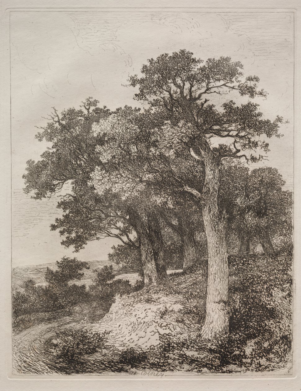 V Colney od John Crome