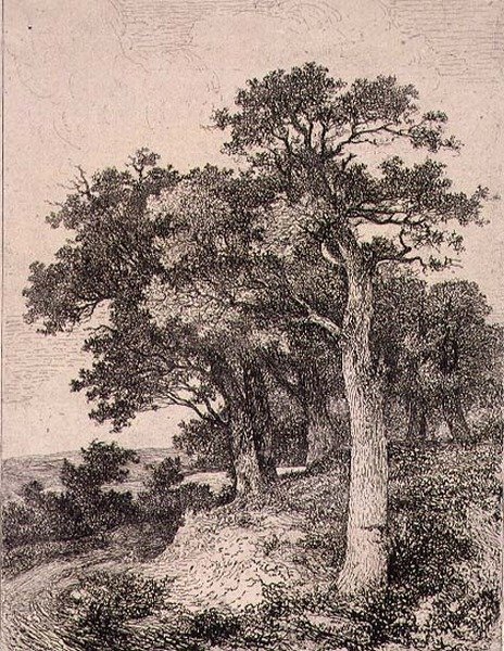 V Colney, hospoda. od J. & W. Freemana od John Crome