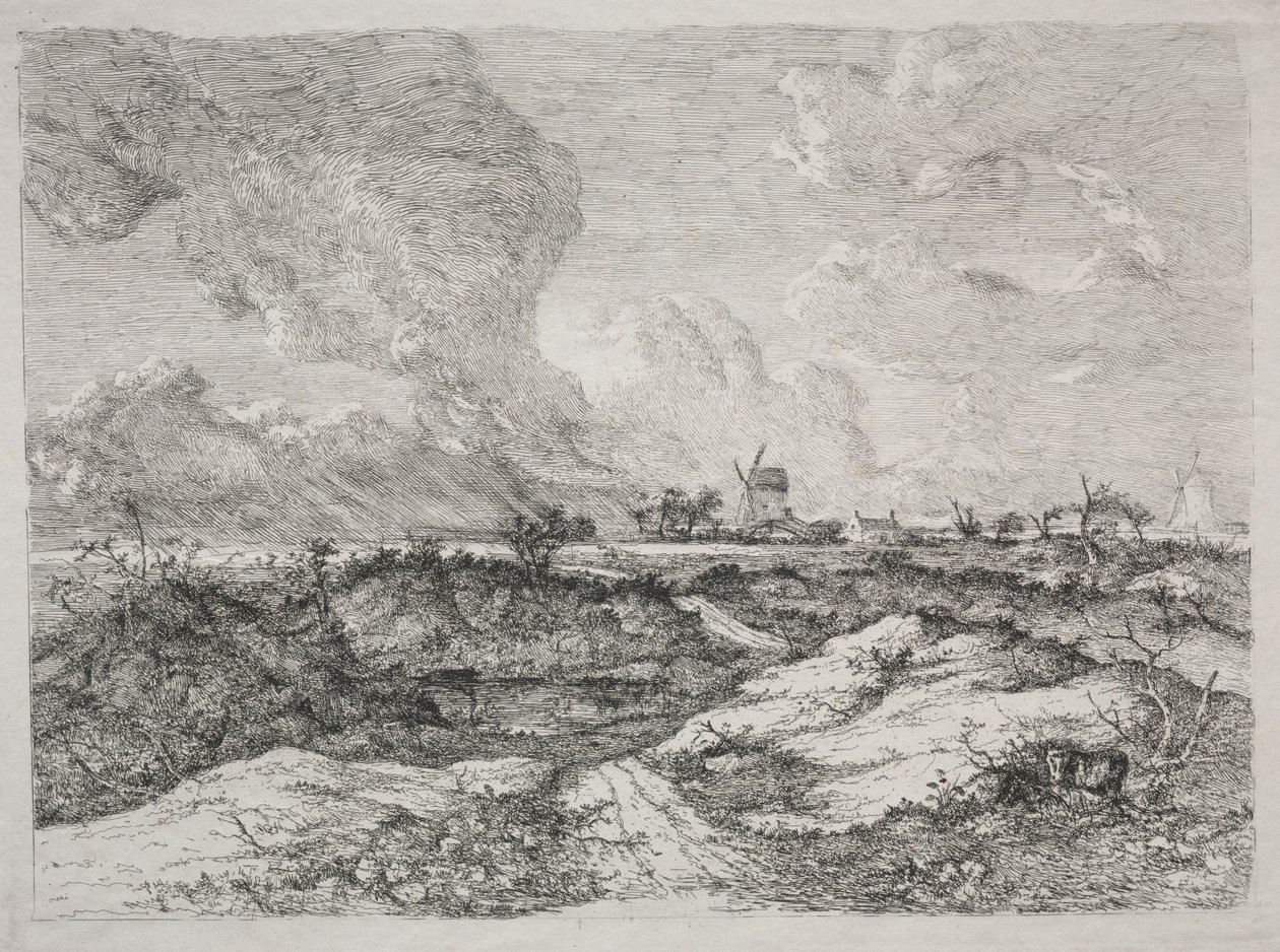 Mousehold Heath od John Crome