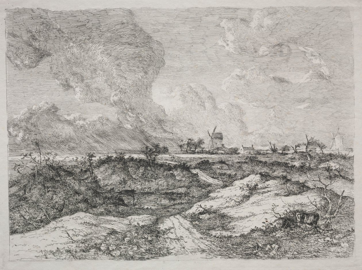 Mousehold Heath, c. 1810-13. od John Crome