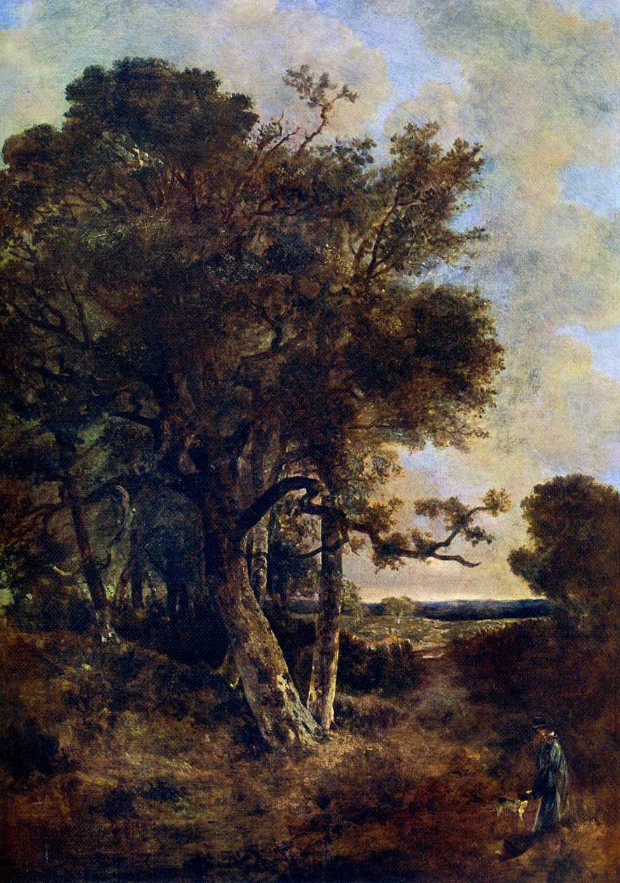 Na okraji lesa, c1788-1821, 1912. od John Crome