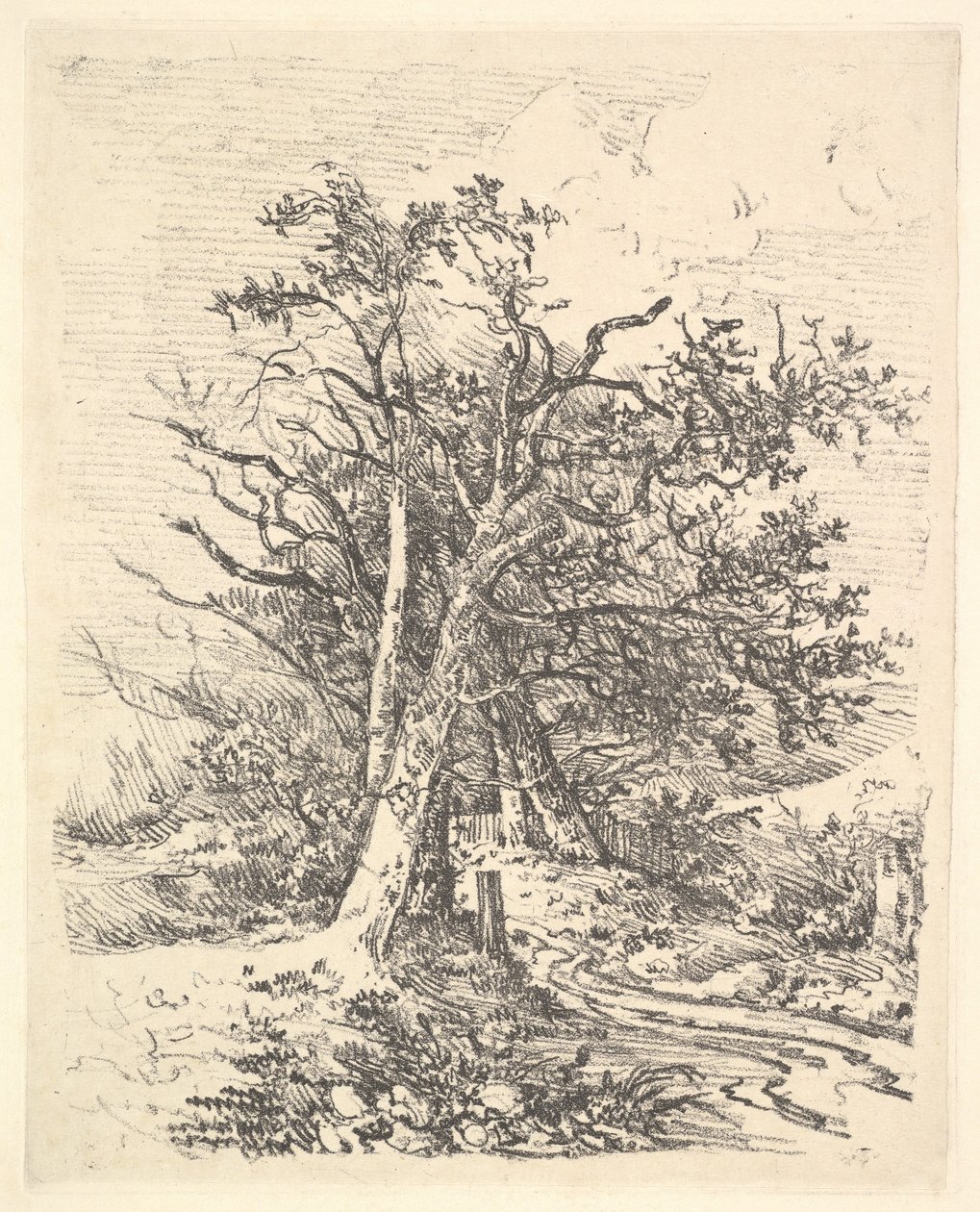 Kmeny a ulička stromů, 1811-13. od John Crome