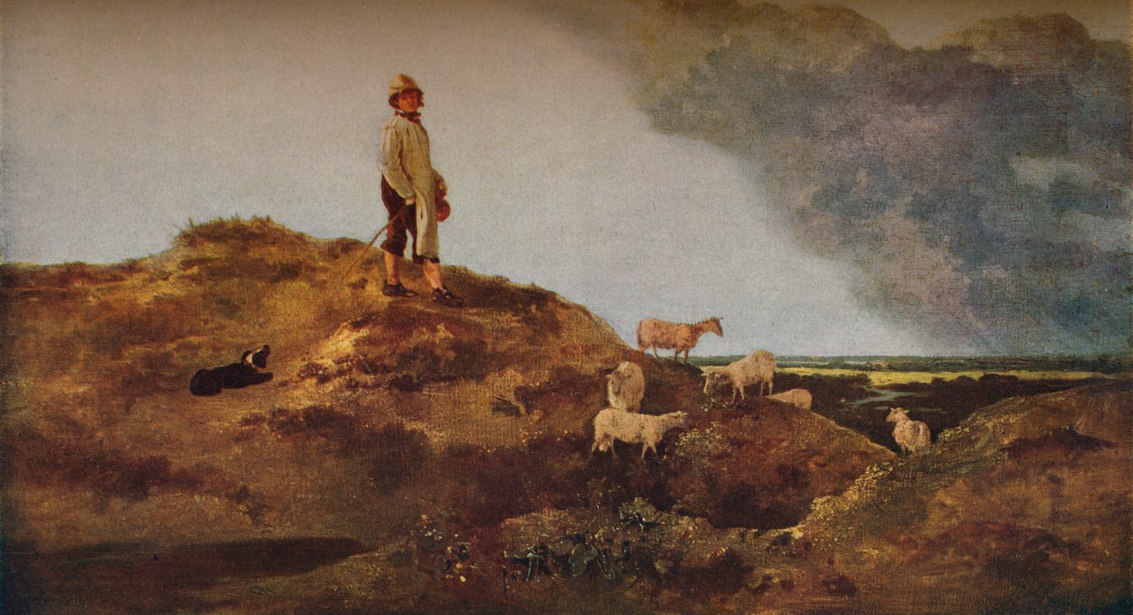 Pohled na Mousehold Heath, Near Norwich, c1812. od John Crome