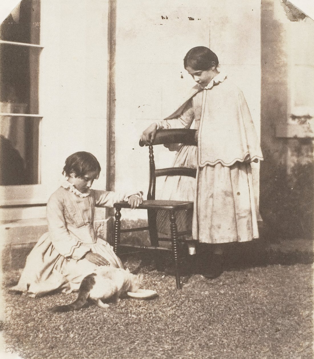 Krmení chudého kocoura, 1853-56. od John Dillwyn Llewelyn
