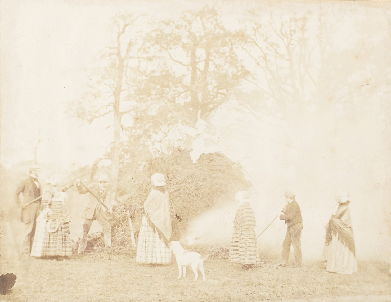 Guy Fawkes, 1853. od John Dillwyn Llewelyn