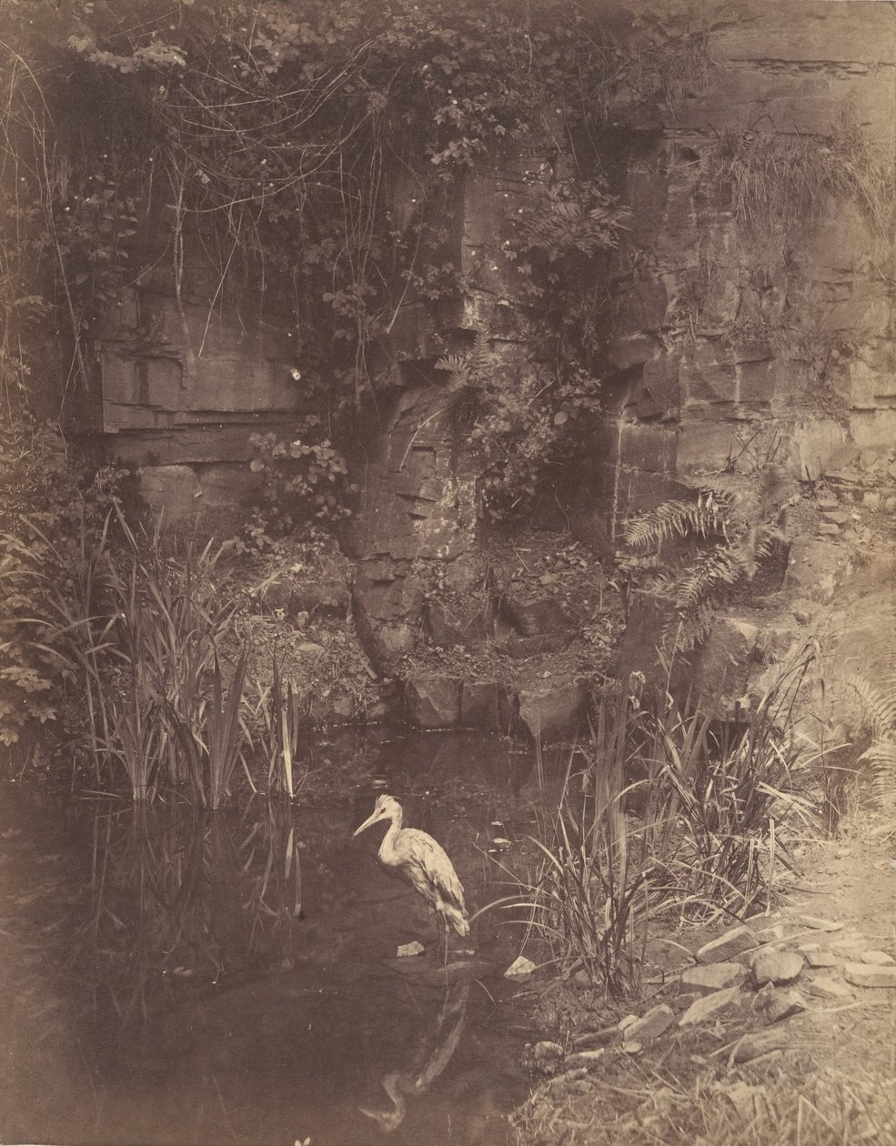 Rybář 2, 1856 od John Dillwyn Llewelyn