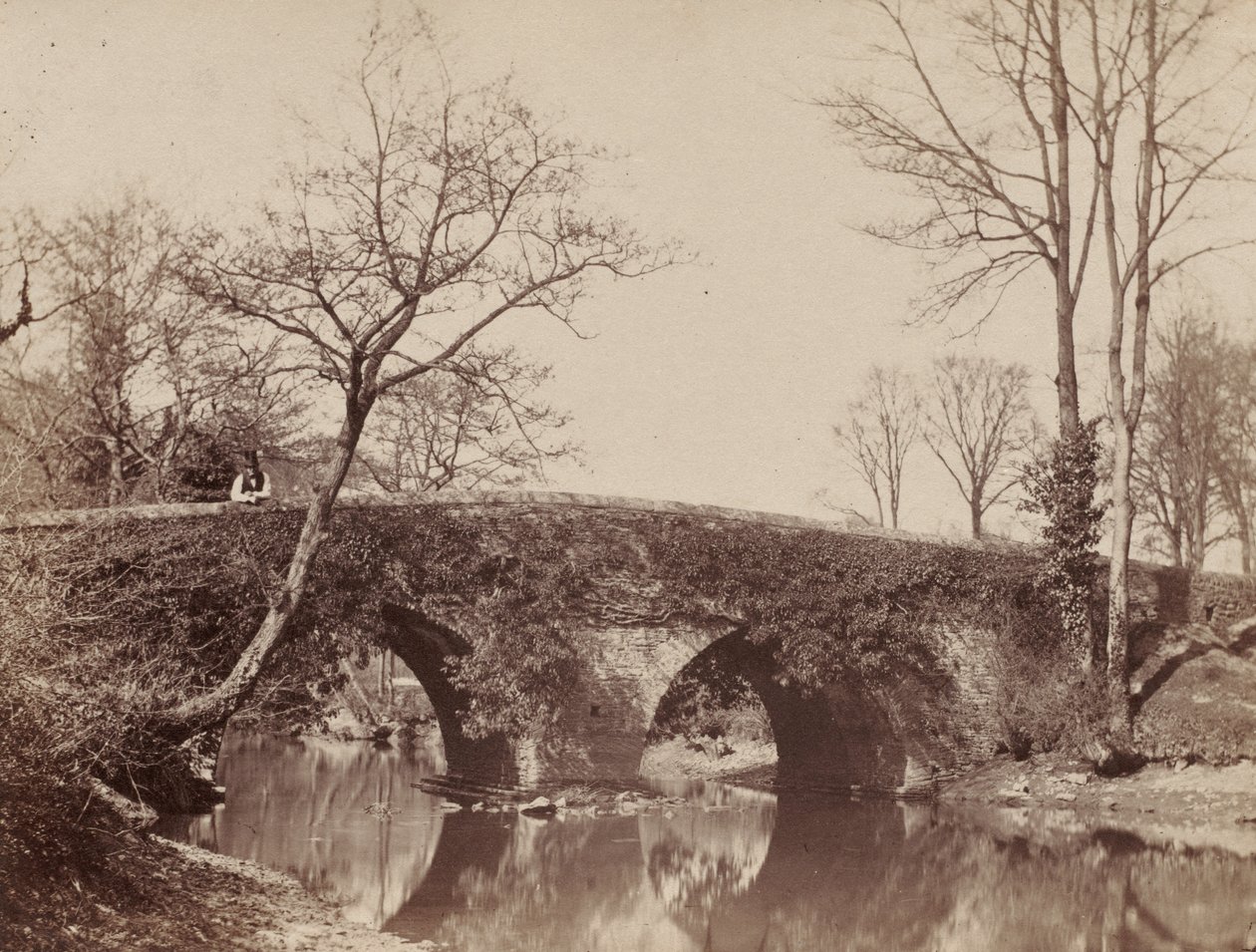 The Country Bridge Staplylton Bridge, Bristol, c. 1854-1857. od John Dillwyn Llewelyn