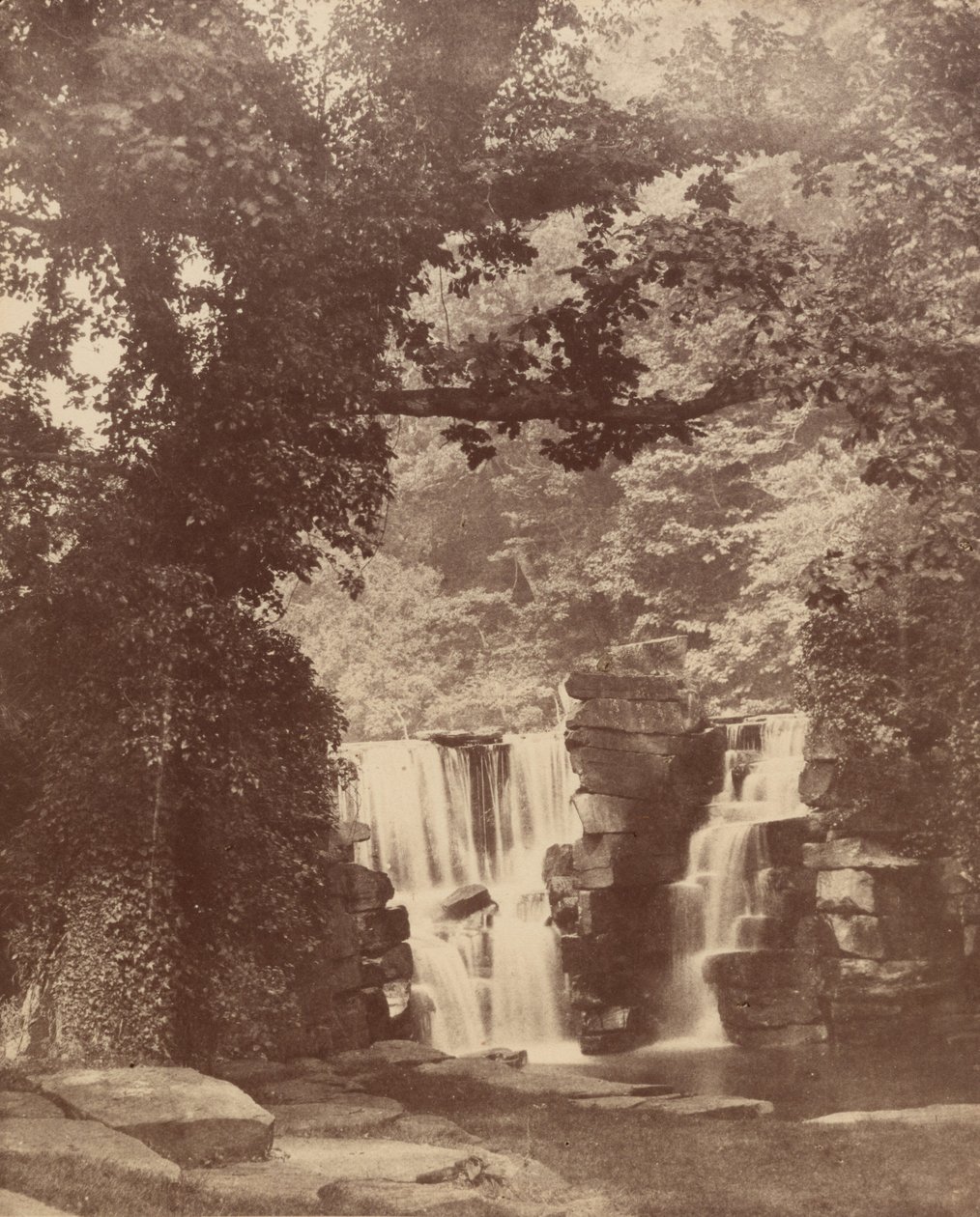 Horní vodopád, les Penllergare Valley,c. 1852 (foto) od John Dillwyn Llewelyn