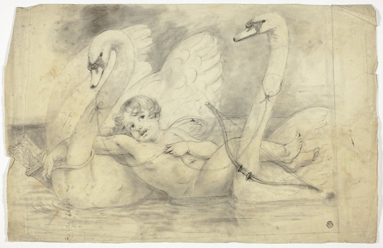 Amor a labutě od John Downman