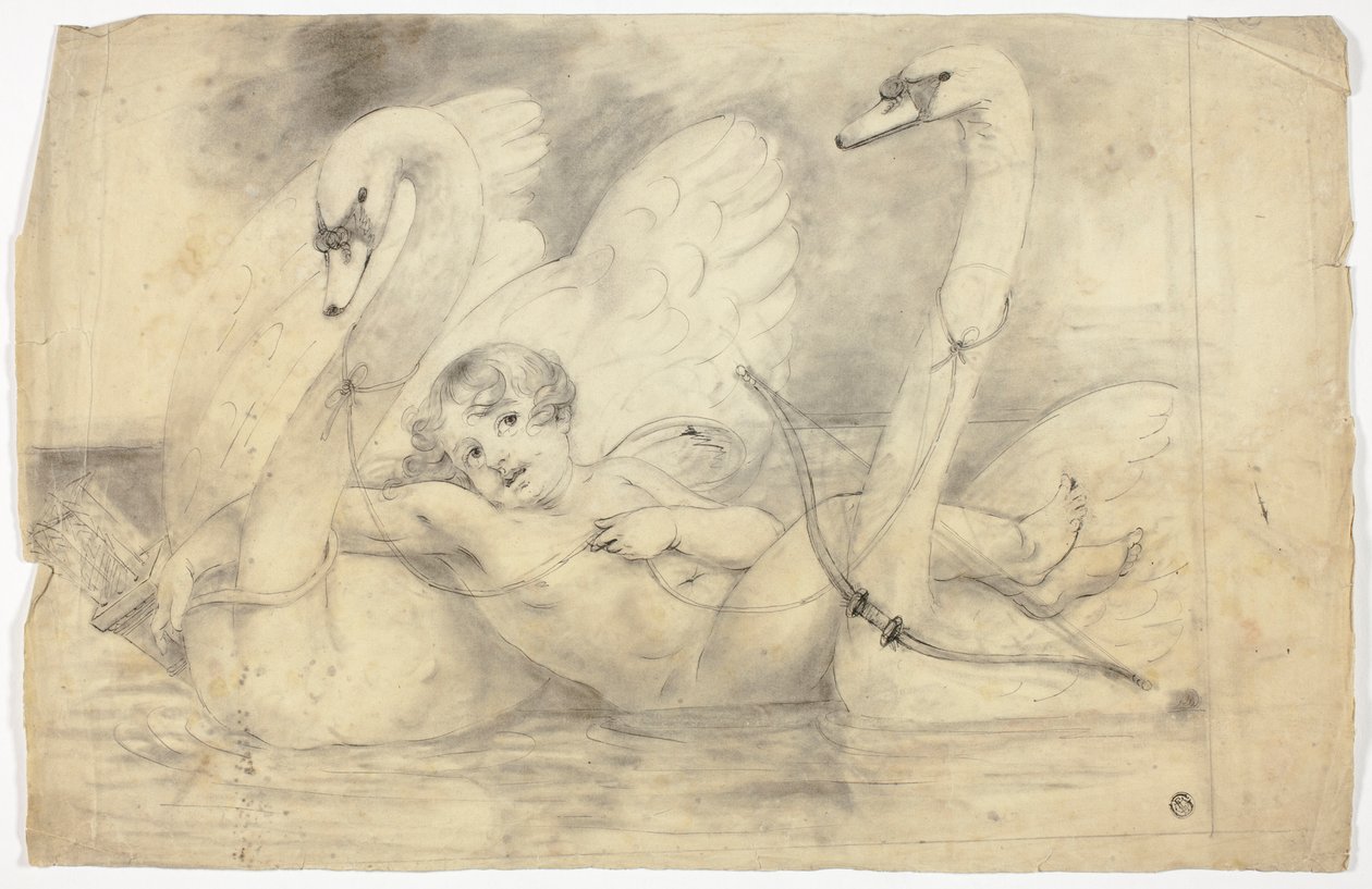 Amor a labutě od John Downman