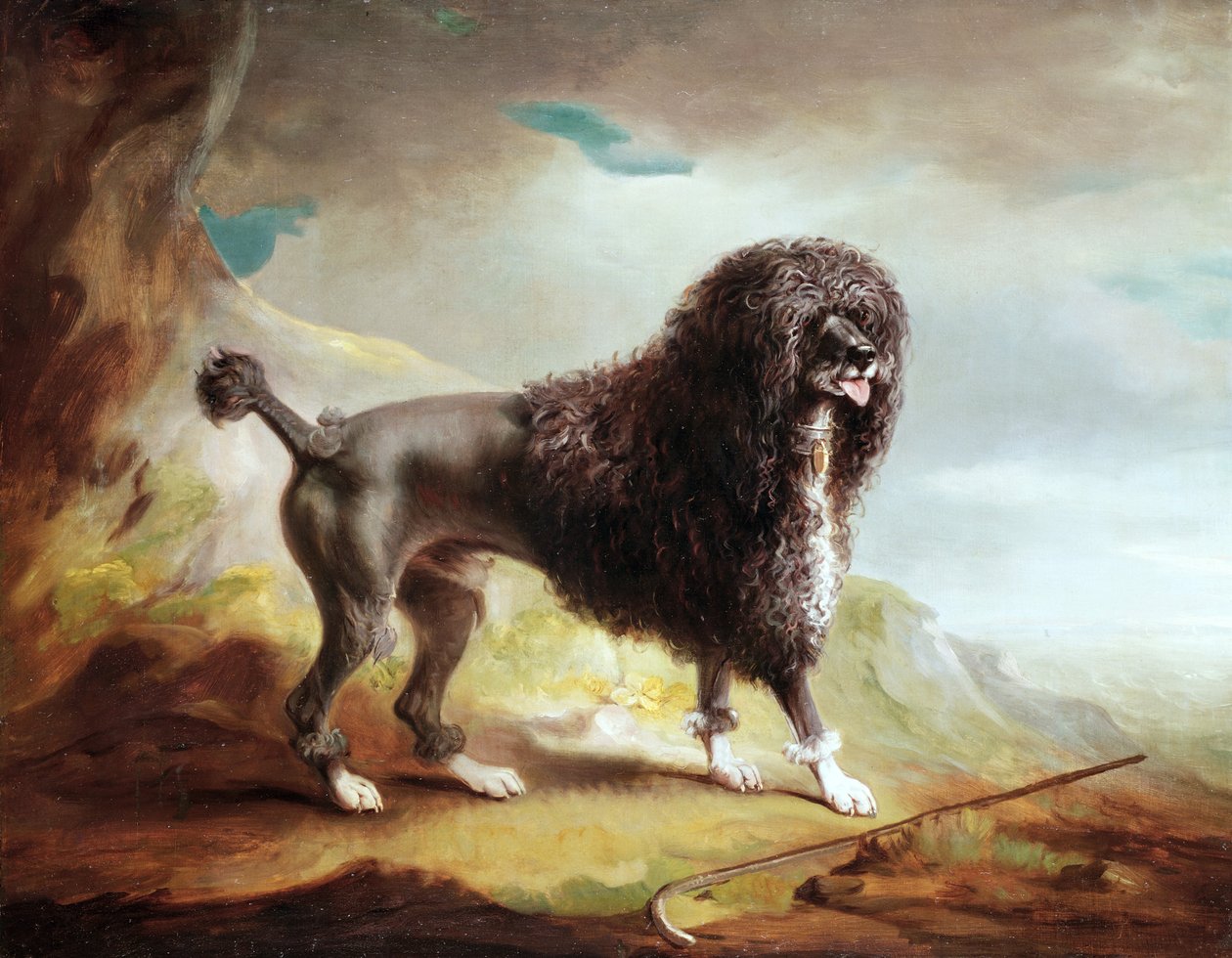 Oříznutý vodní španěl (olej na plátně) od John E. Ferneley