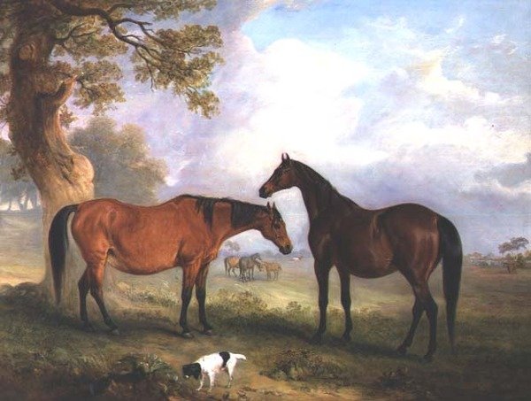 Chovné klisny v Grass od John E. Ferneley