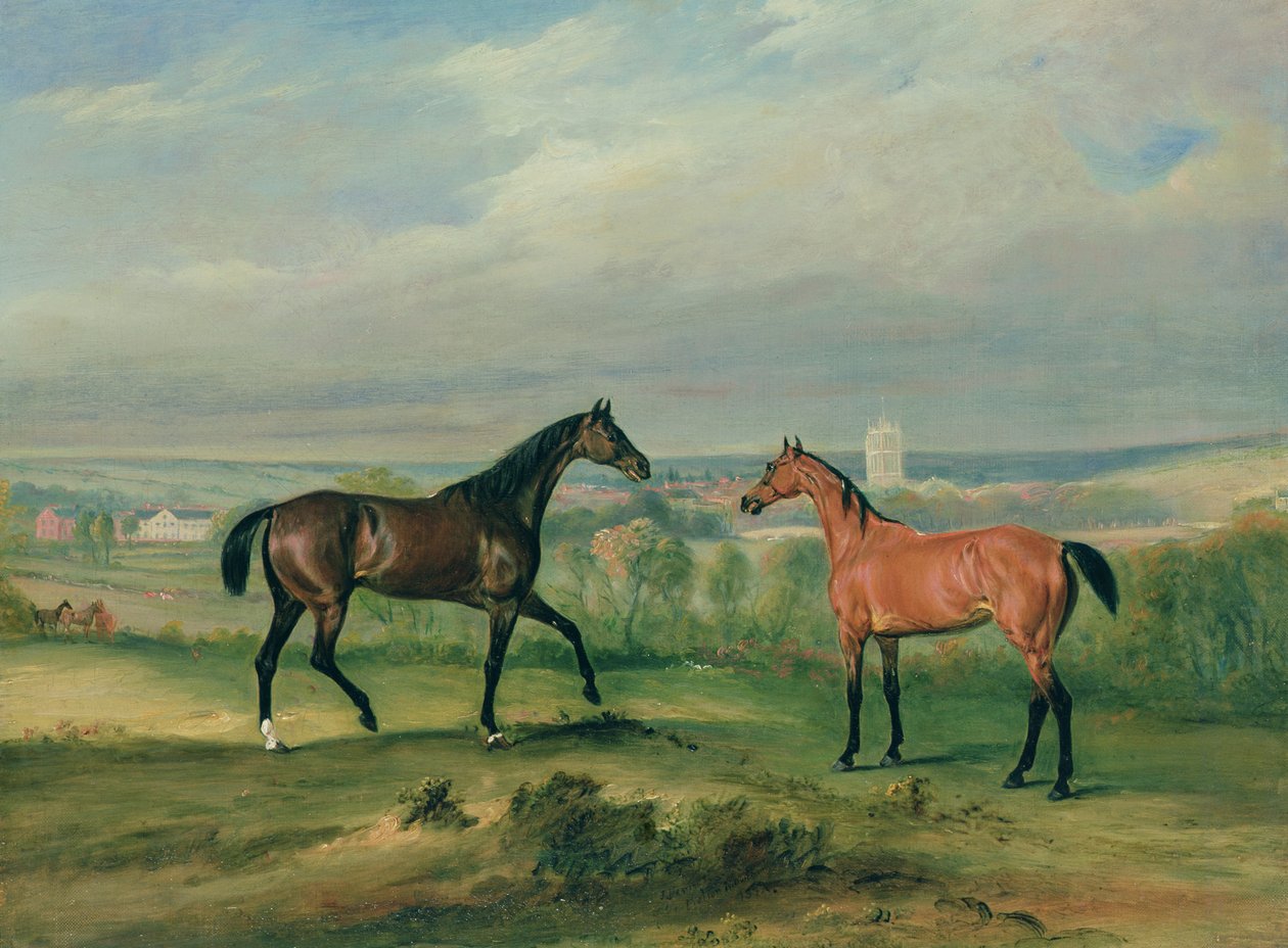 Oblíbení lovci hraběte Bathyanyho v Melton Mowbray od John E. Ferneley