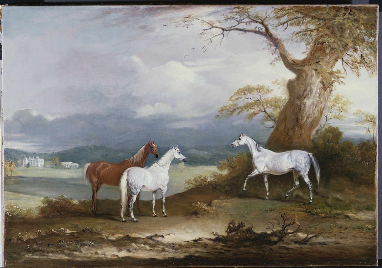 Klisny lorda Macdonalda na pozemku Thorpe Hall, Rudston, Yorkshire, 1836 od John E. Ferneley