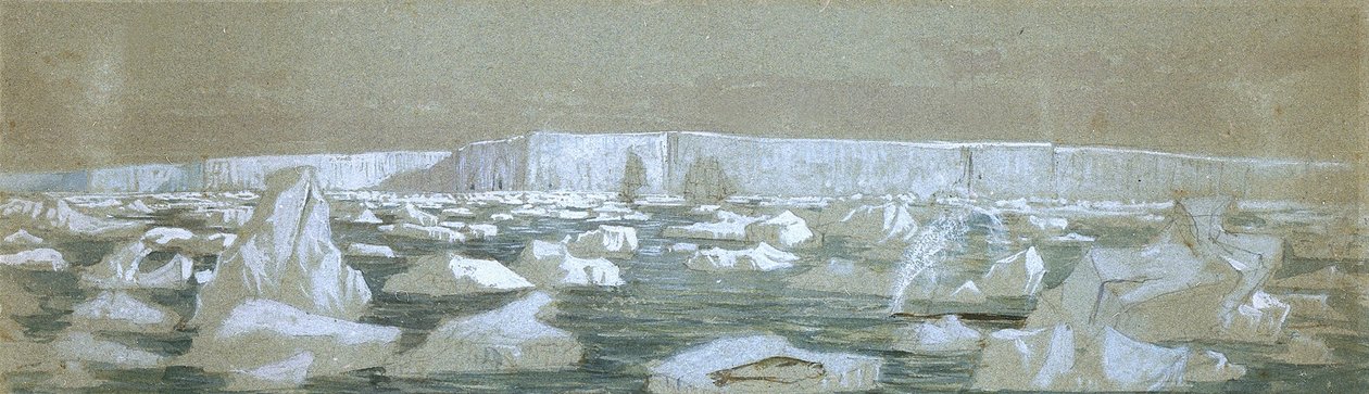 Část jižní polární bariéry, 2. února 1841 (akvarel) od John Edward Davis