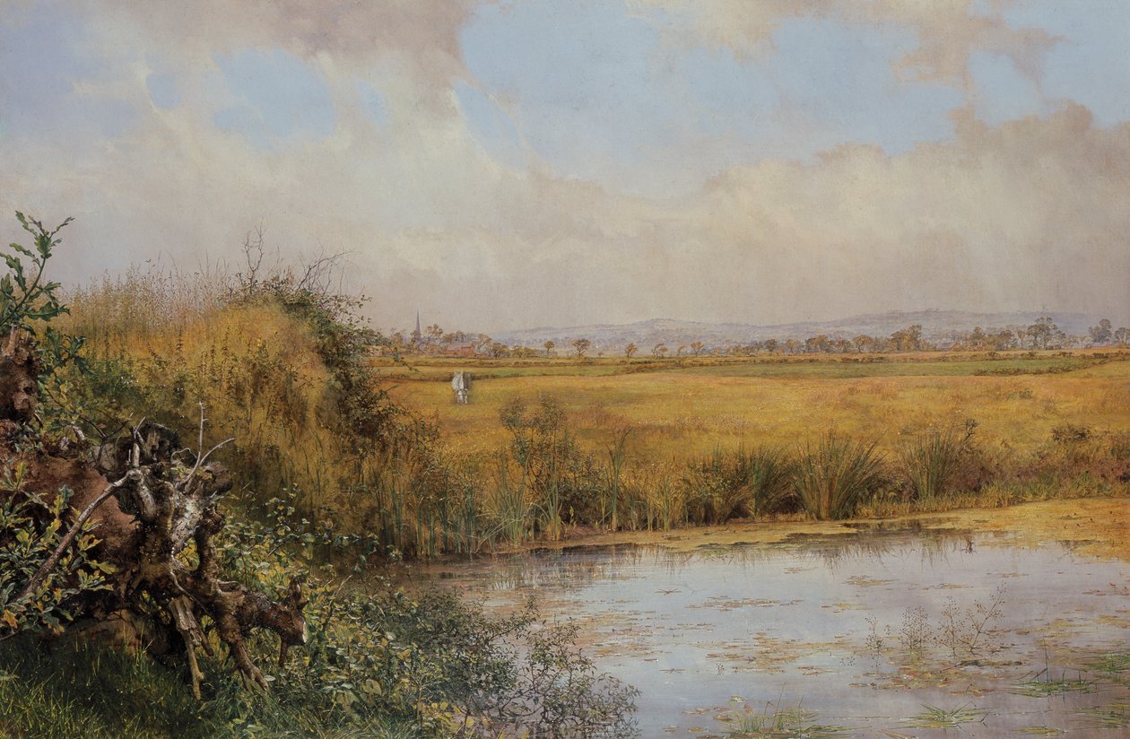 Unbekanntes Bild od John Edward Newton