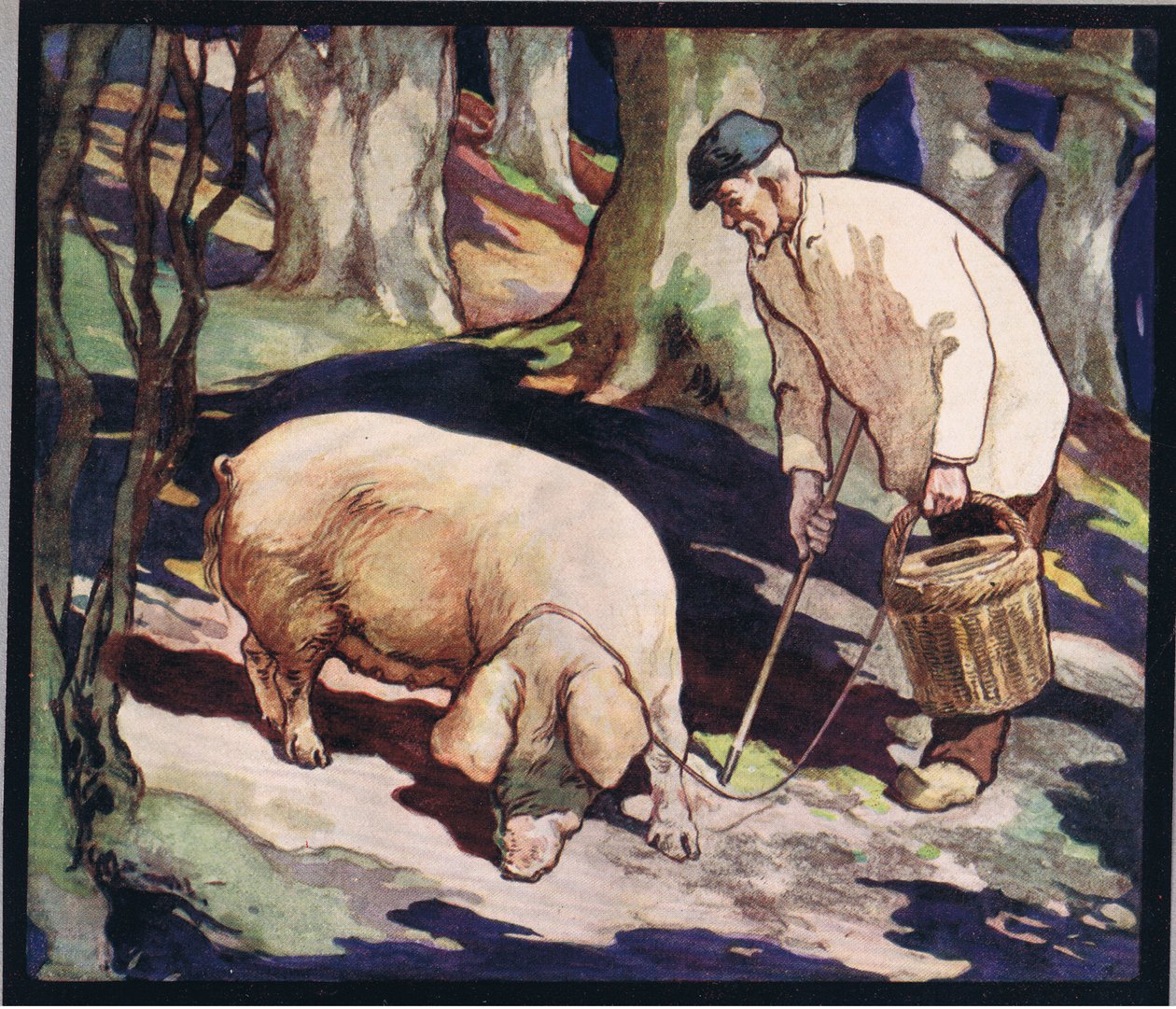 Prase hledající lanýže, ilustrace z 