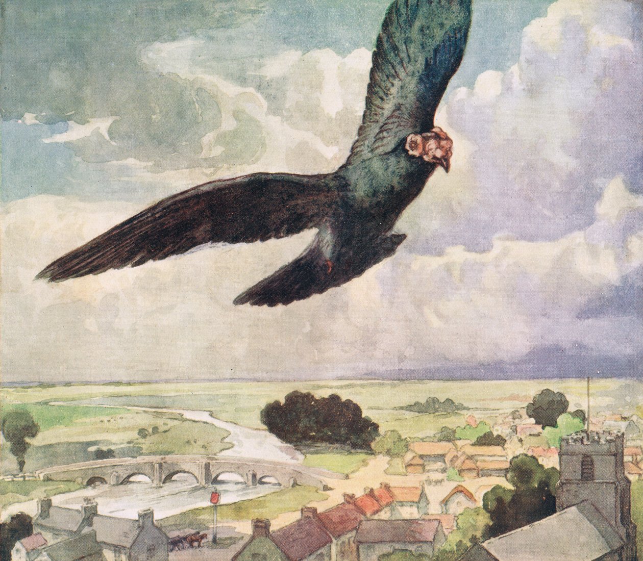 Pták letící nad městem, ilustrace z 
