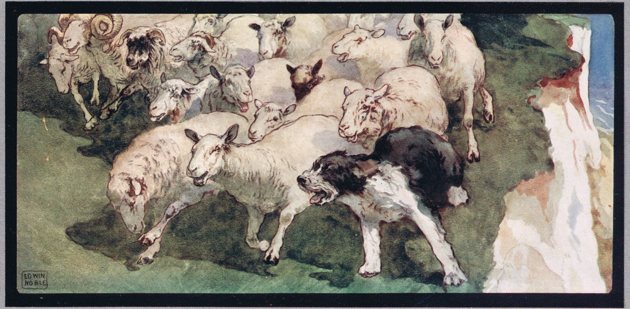 Bobtail ovčácký pes a stádo na útesech, ilustrace z 