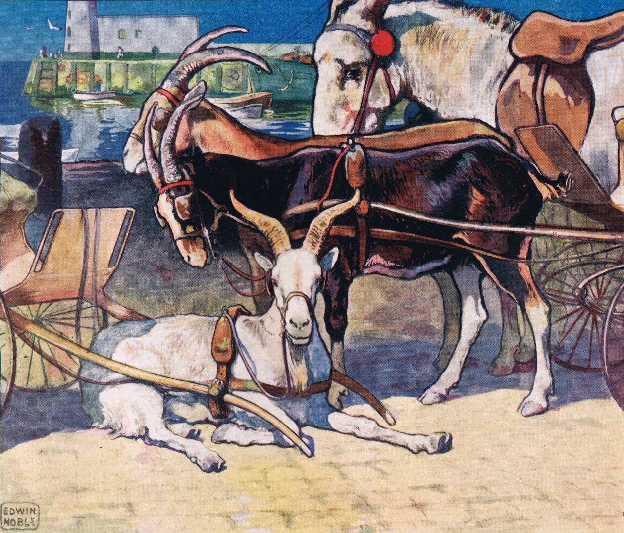Kozy odpočívající, ilustrace z 
