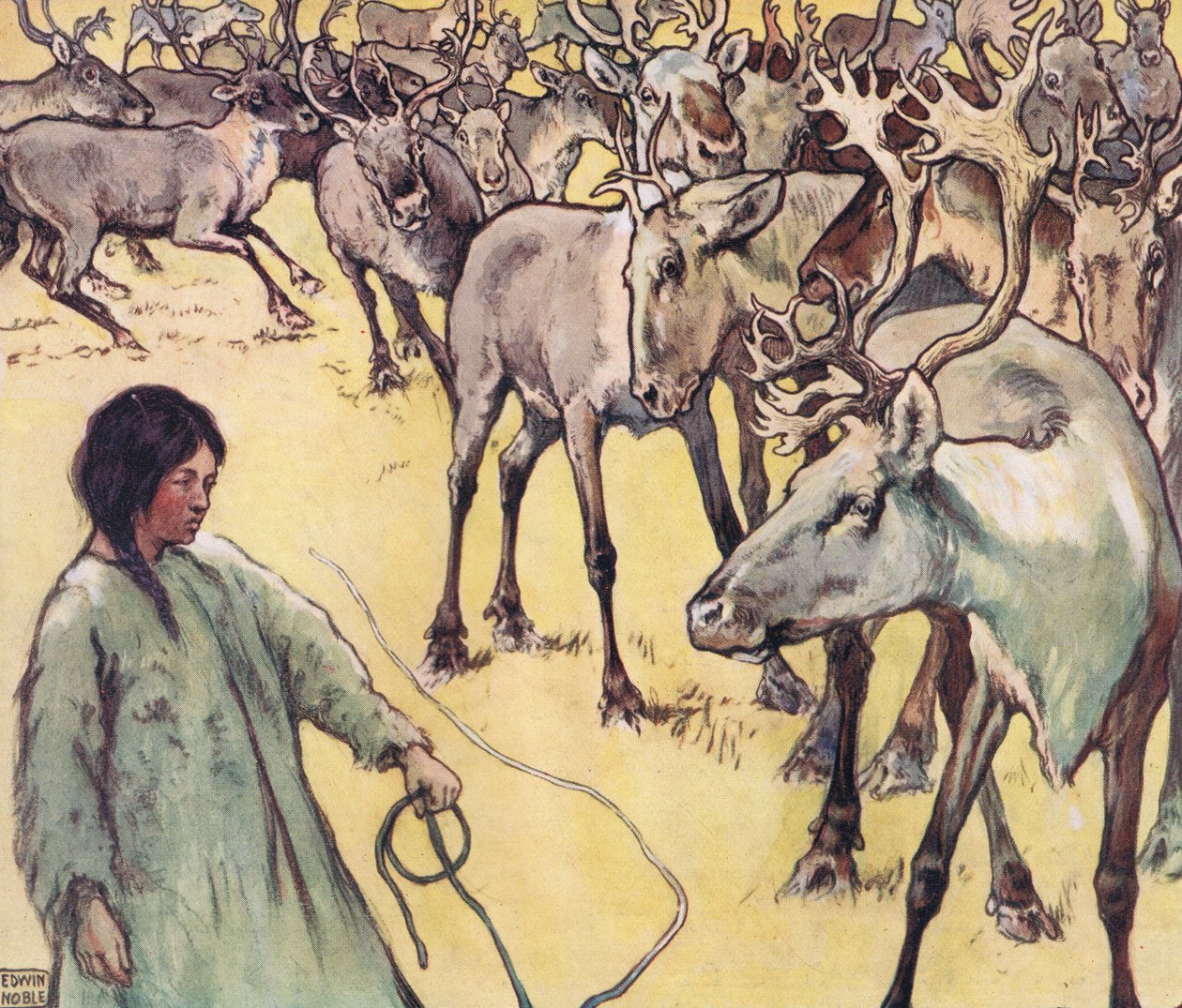 Moose stádo, ilustrace z 