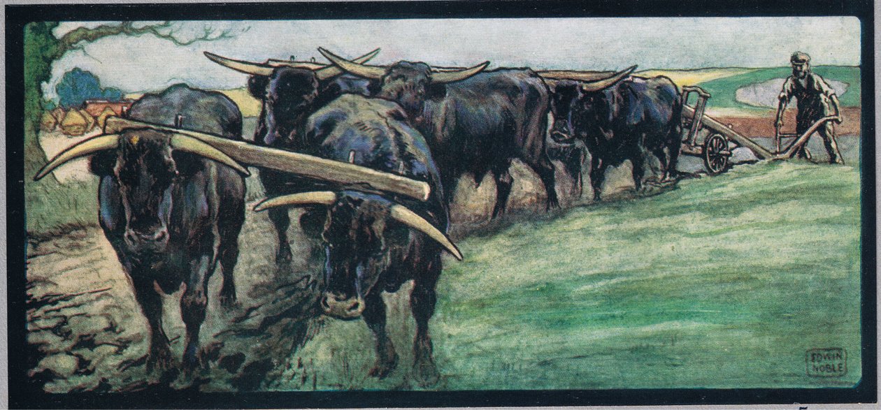 Orba pole, ilustrace z 