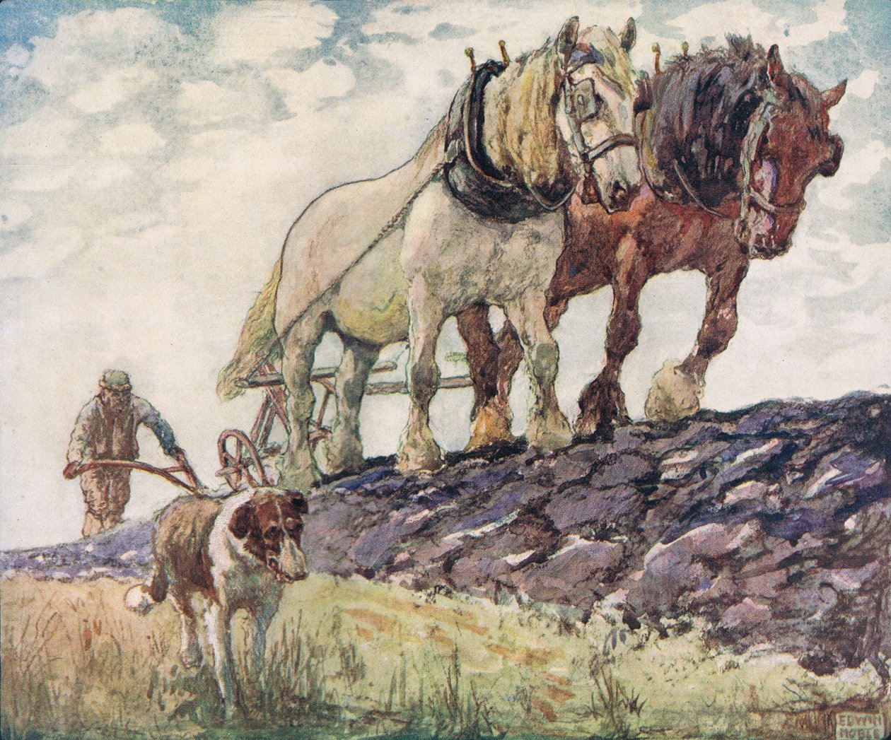 Orba pole, ilustrace z 