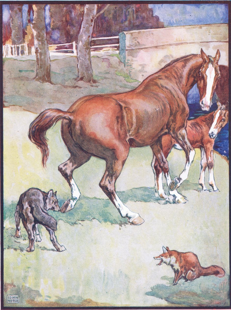 The Mare Lifted Her Hoof, ilustrace pro lišku Reynard, z knihy Animal Legends from Many Lands, vydané nakladatelstvím Raphael Tuck & Sons Ltd. od John Edwin Noble