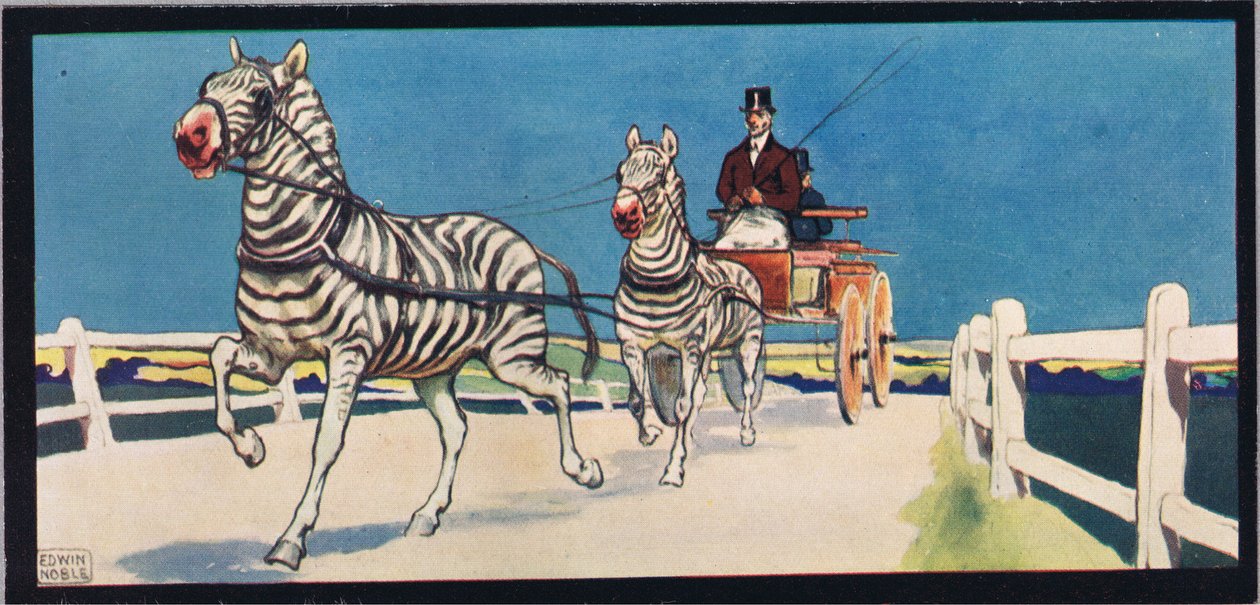 Zebry táhnoucí vozík, ilustrace z 