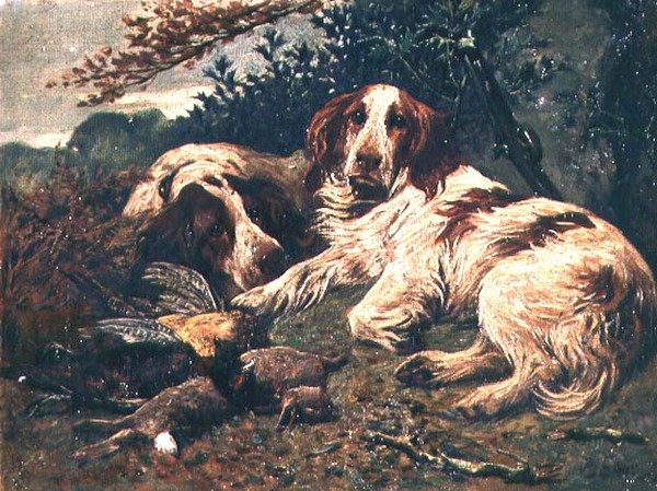Pár jaterních a bílých Clumber španělů v tašce dne od John Emms