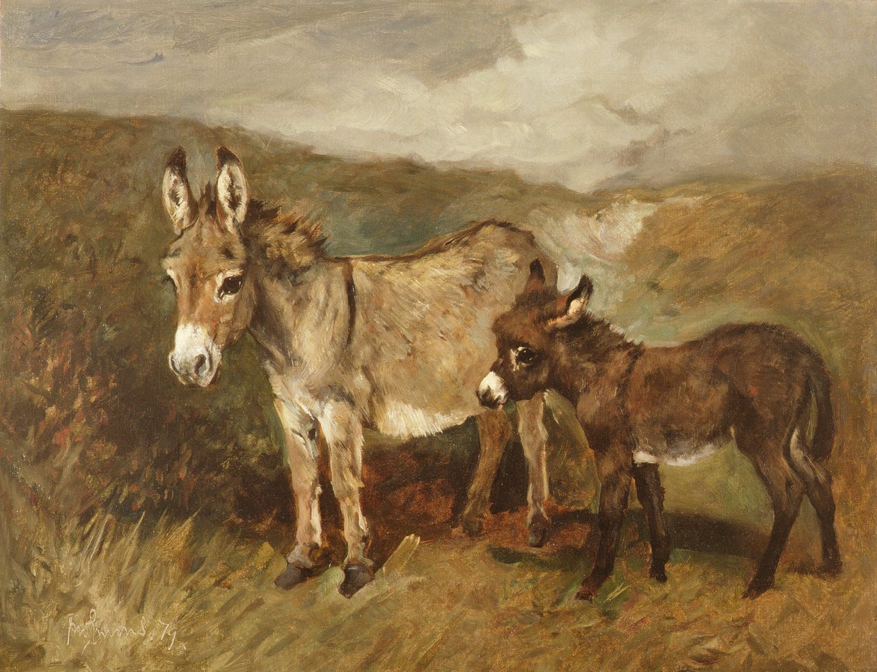 Osli na Mooru, kolem roku 1890 od John Emms