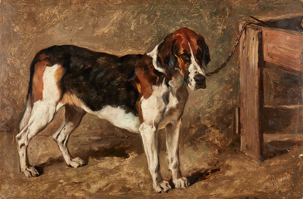 Studie ohaře (olej na palubě) od John Emms