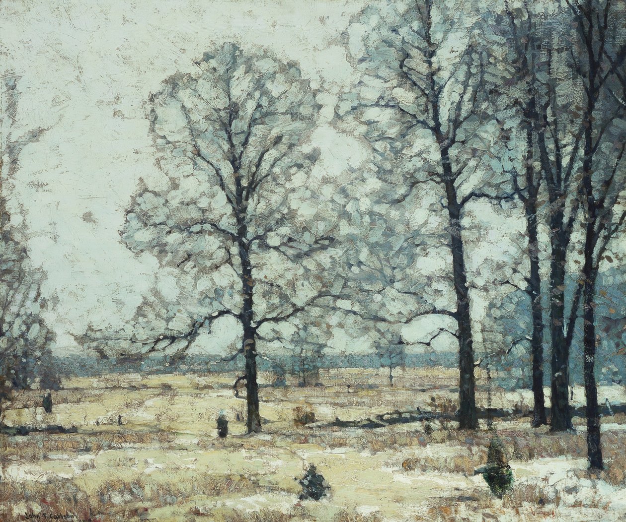 Zimní Hickories od John Fabian Carlson